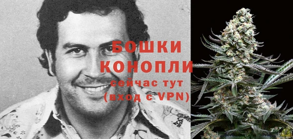 первитин Балахна