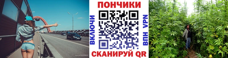 ссылка на мегу ссылки  Ленинск  Канабис VHQ 